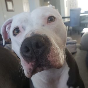 Meet your Posher, Larry